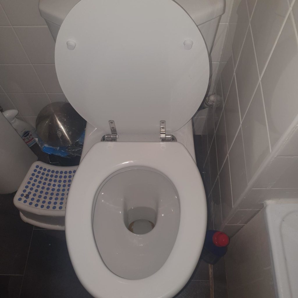 Toilet Installation and Repair