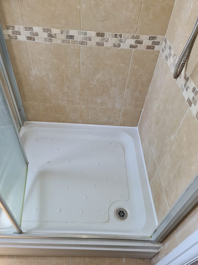 Pipe Installation and Repair